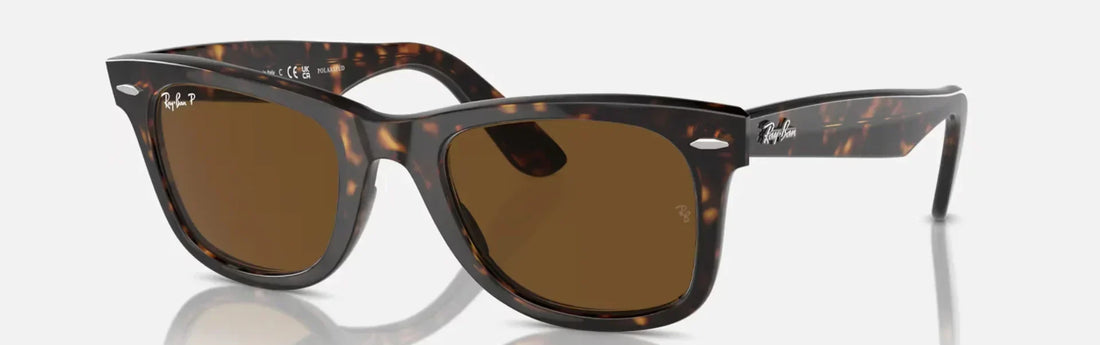 Gafas Ray-Ban Wayfarer