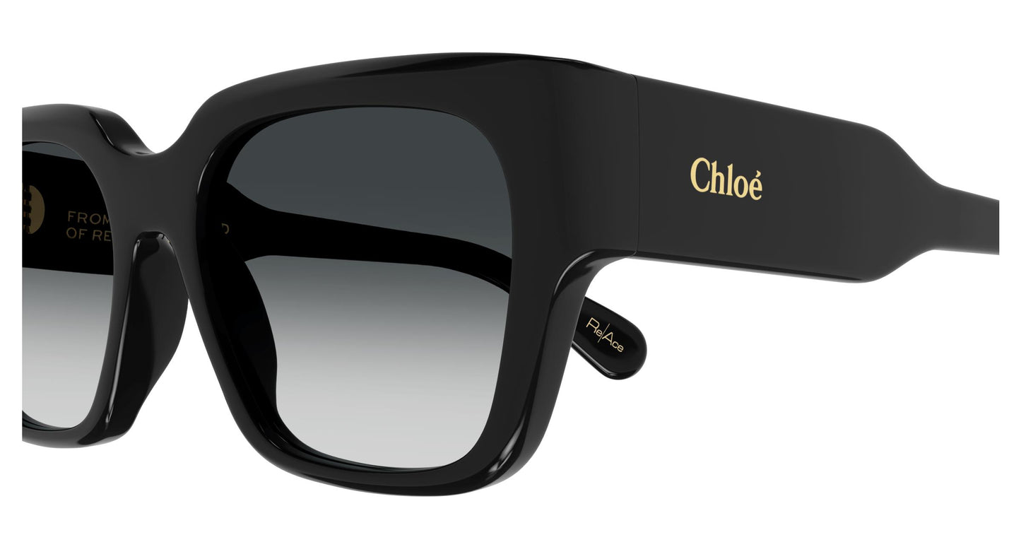 Chloé CH0190S 001 54