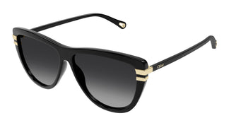 Chloé CH0203S 001 59