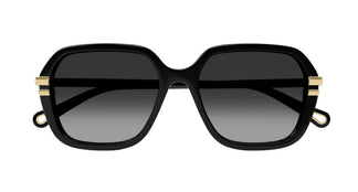 Chloé CH0204S 001 57