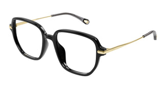Chloé CH0218OA 001 55