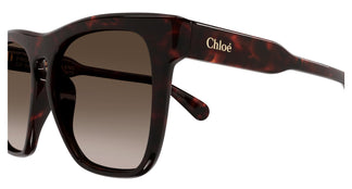 Chloé CH0149SA 002 56