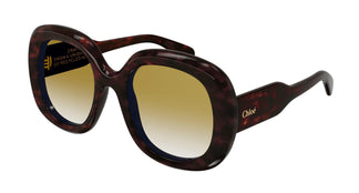 Chloé CH0153S 002 54