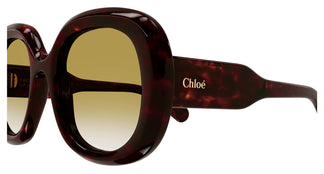 Chloé CH0153S 002 54