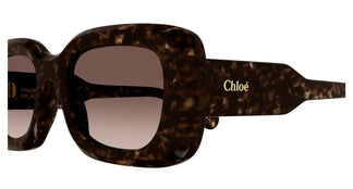 Chloé CH0188S 002 51