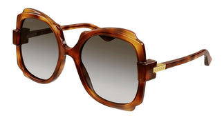 Gucci GG1431S 002 57
