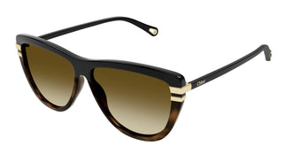Chloé CH0203S 003 59