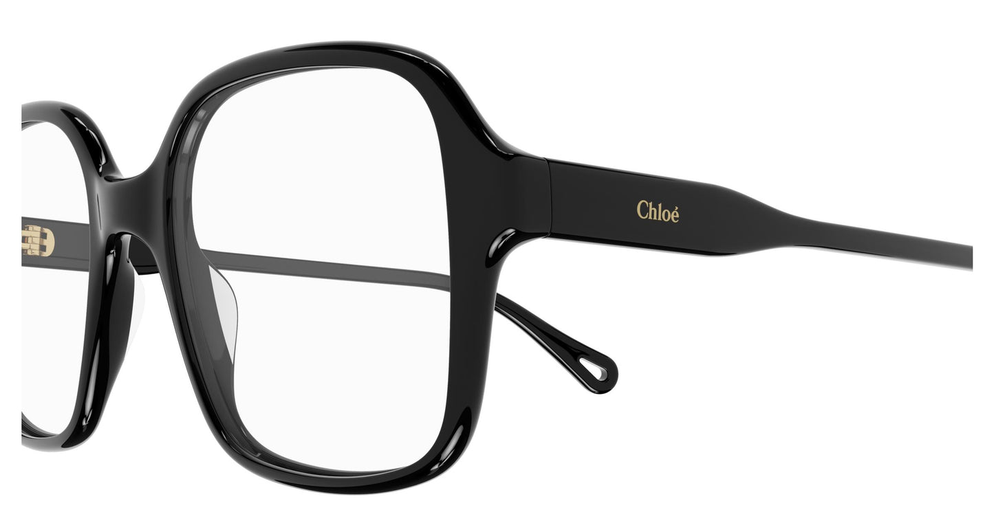Chloé CH0126O 005 53