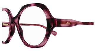 Chloé CC0012O 006 48
