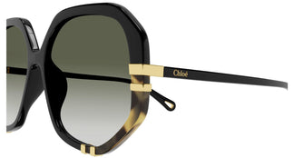 Chloé CH0105S 006 55