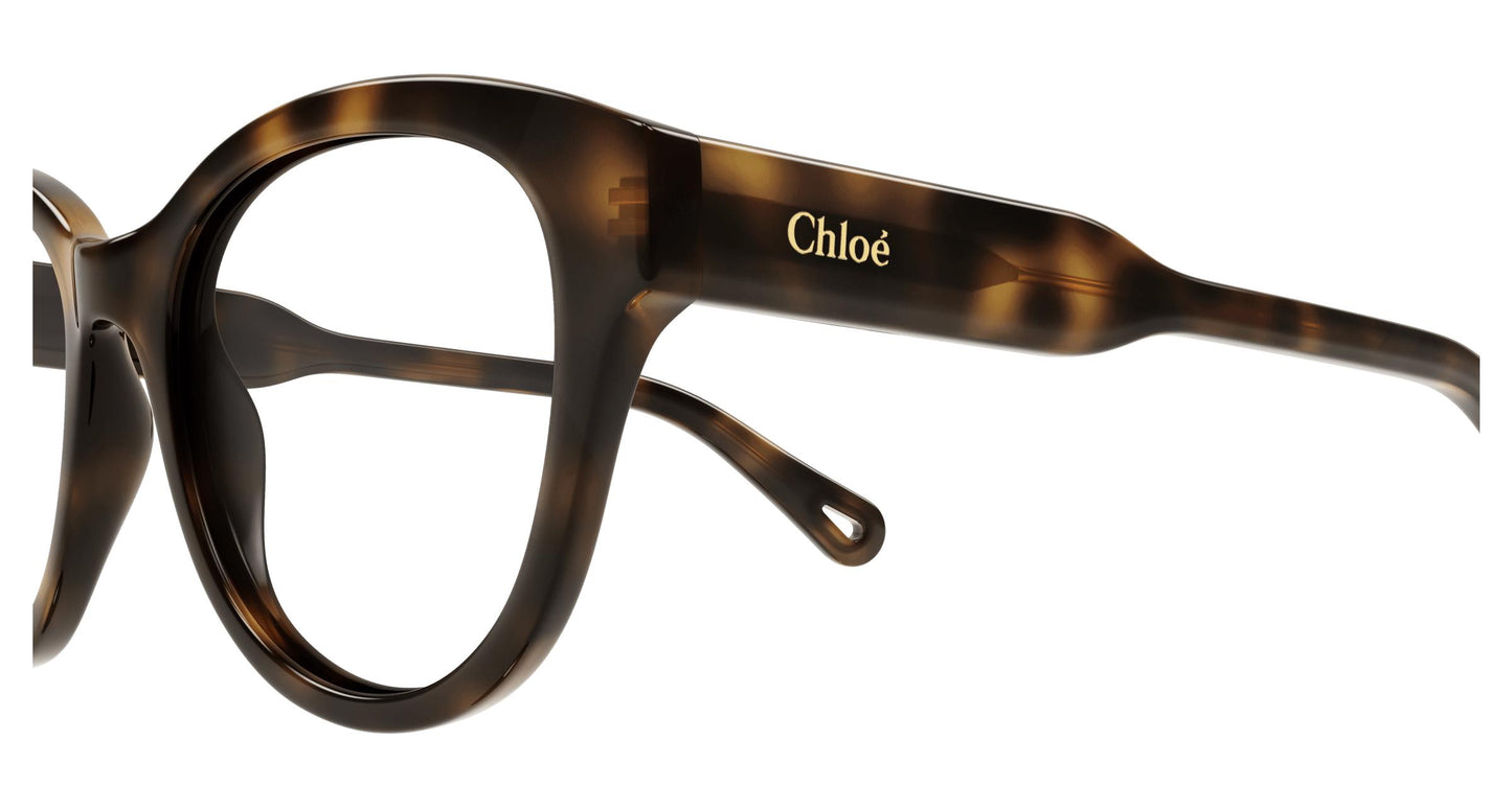 Chloé CH0163O 006 53