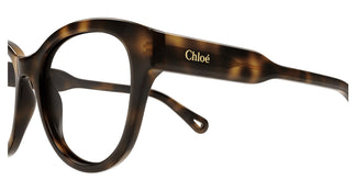 Chloé CH0163O 006 53