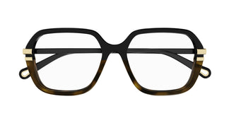 Chloé CH0205O 007 55