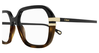 Chloé CH0205O 007 55