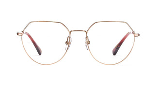 Etnia Barcelona GREENWICH PGBR 53