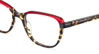 Etnia Barcelona NOTRE DAME P. HVRD 49