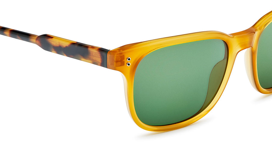 Etnia Barcelona SINATRA YWHV 55