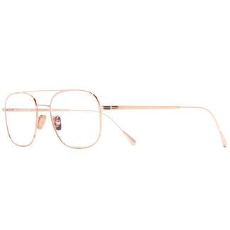 Cutler and Gross AUOP-0003 02 52