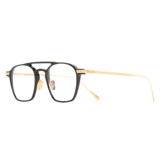 Cutler and Gross AUOP-0009 01 48
