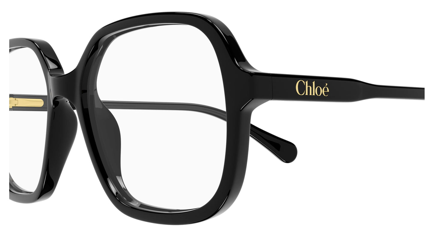 Chloé CC0027O 001 49