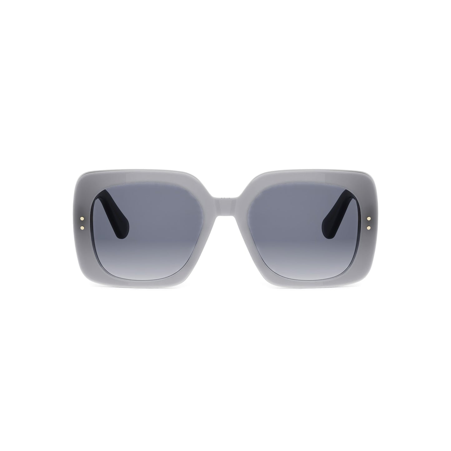 DIOR OBLIQUE CD40273I 20W 54