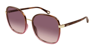 Chloé CH0031S 018 59