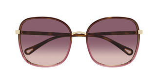 Chloé CH0031S 018 59