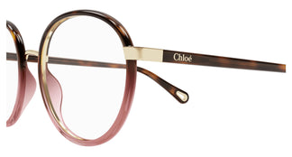 Chloé CH0033O 010 51