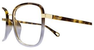 Chloé CH0034O 020 53
