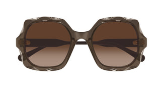 Chloé CH0226S 007 53