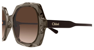 Chloé CH0226S 007 53