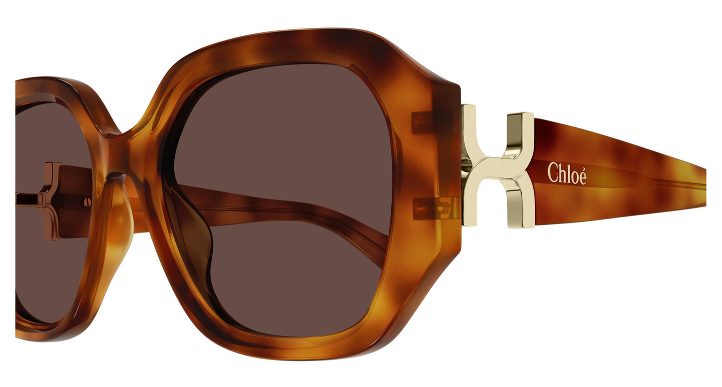 Chloé CH0236S 006 56