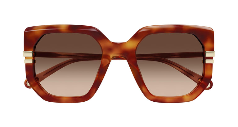 Chloé CH0240S 007 53