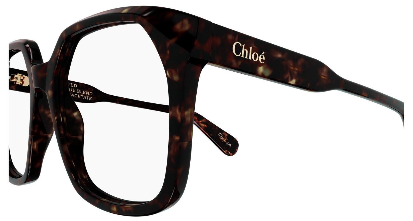 Chloé CH0263O 009 53