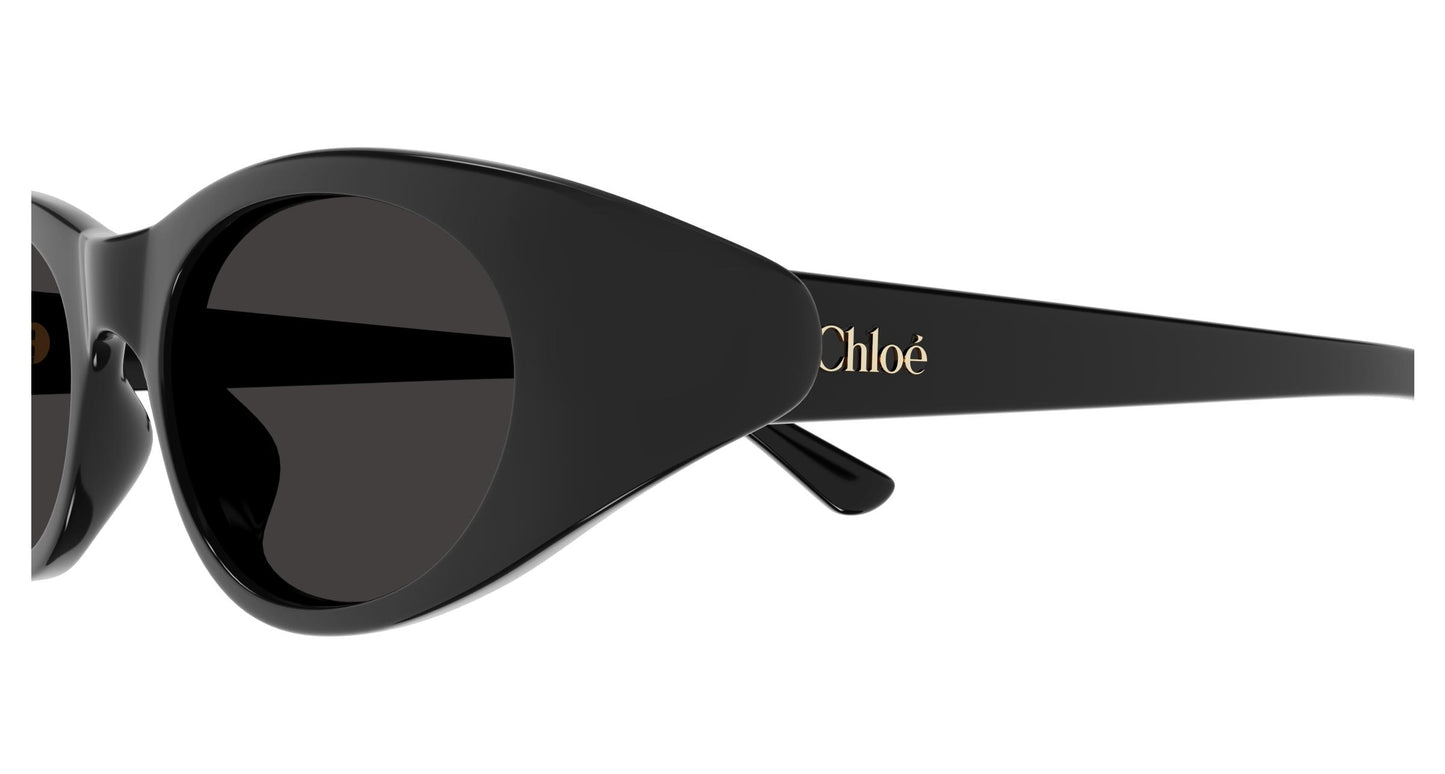 Chloé CH0279S 001 51