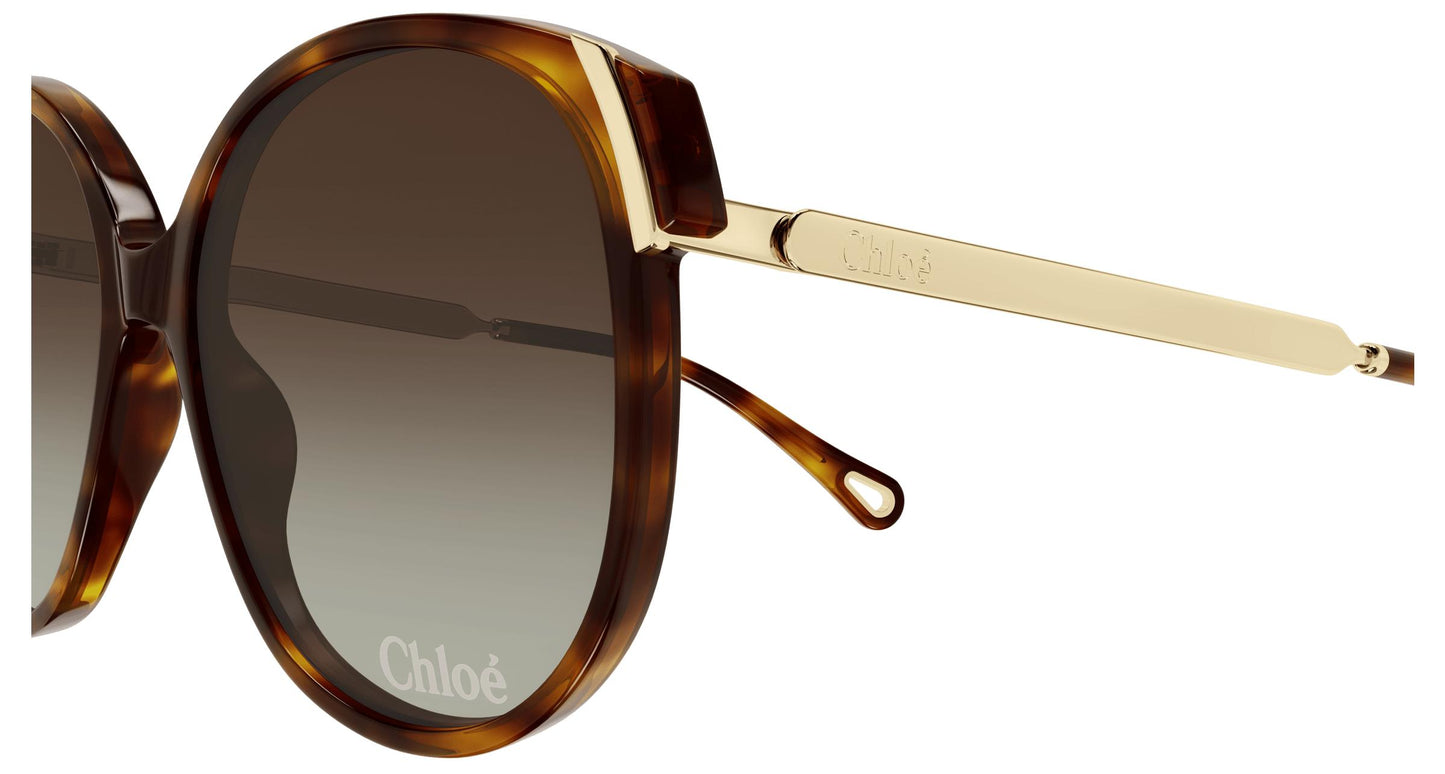 Chloé CH0285S 002 58