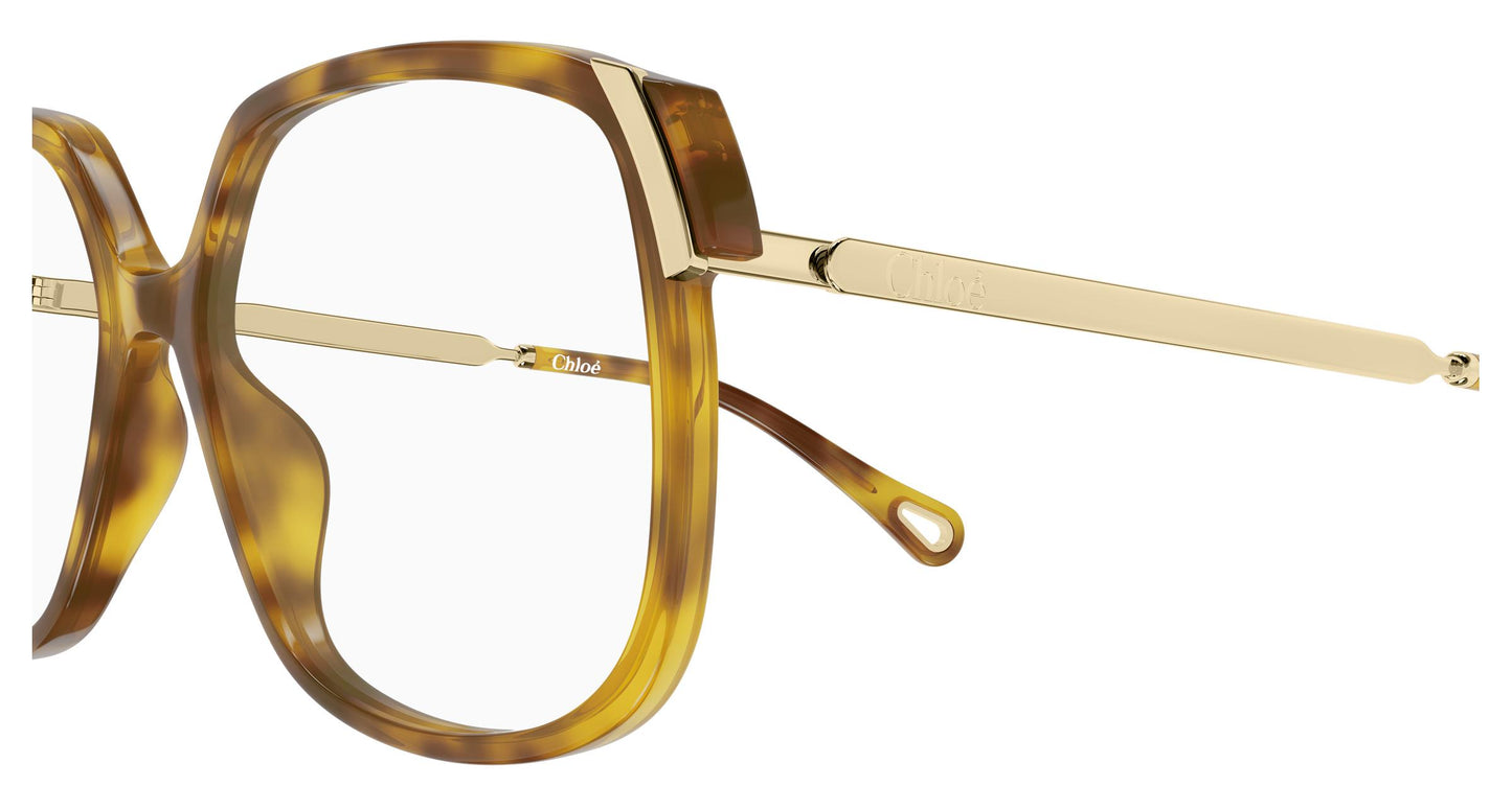 Chloé CH0287O 008 54
