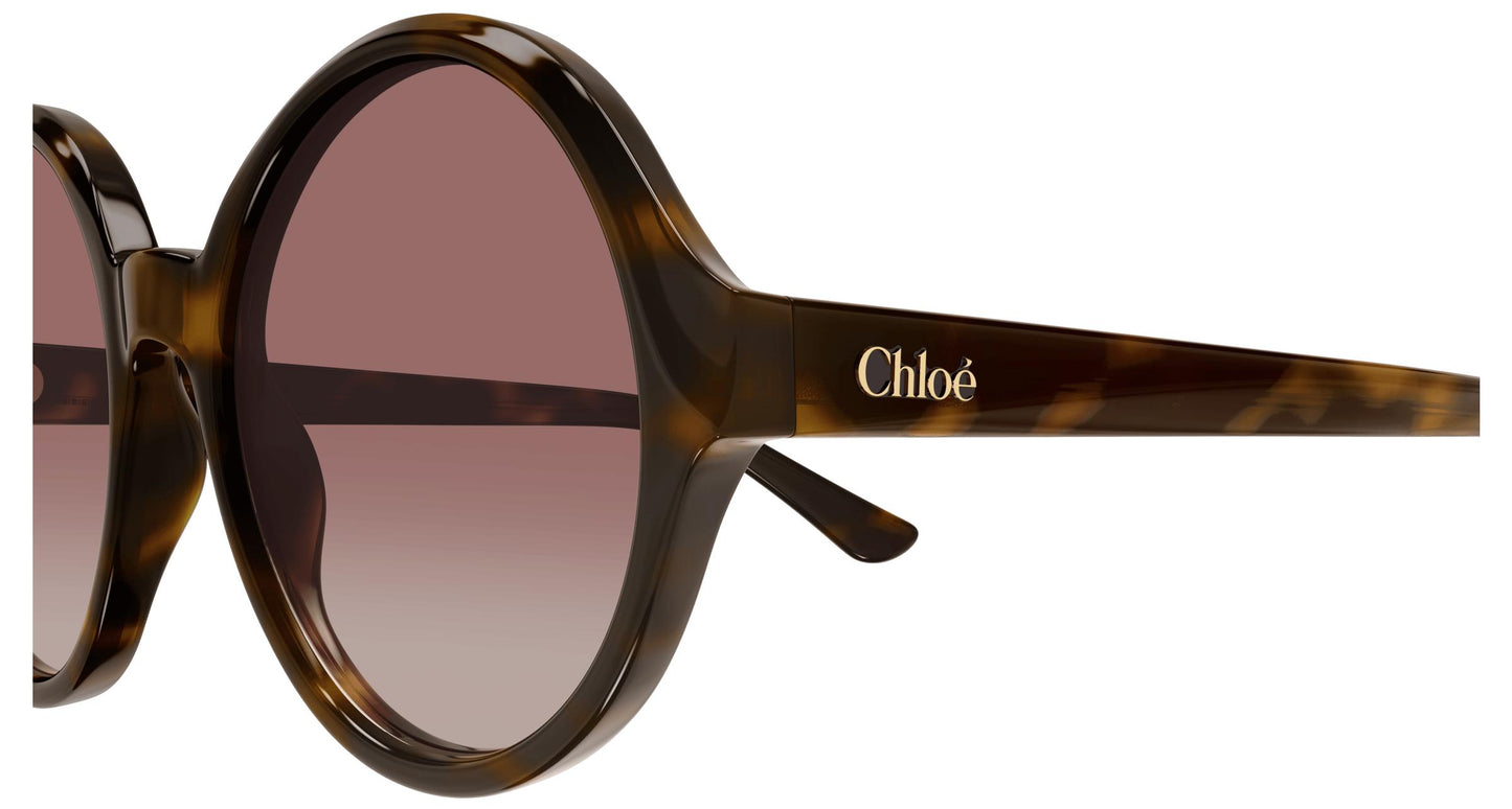 Chloé CH0290S 003 57