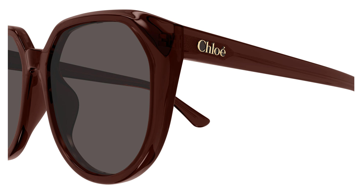 Chloé CH0291SK 002 58