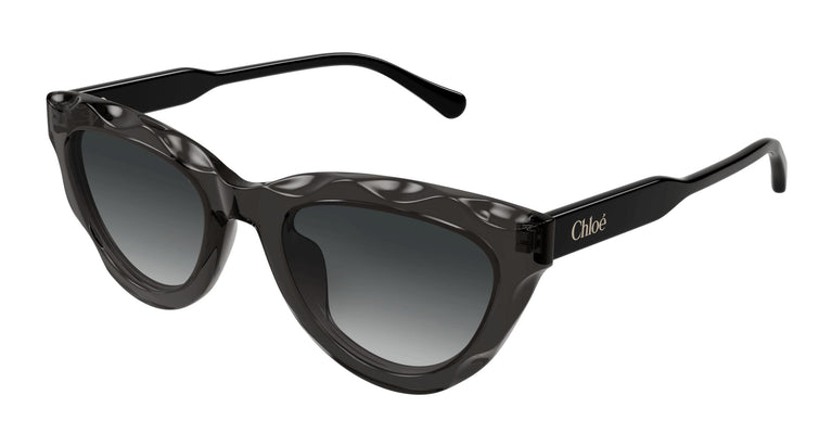 Chloé CH0294S 001 52