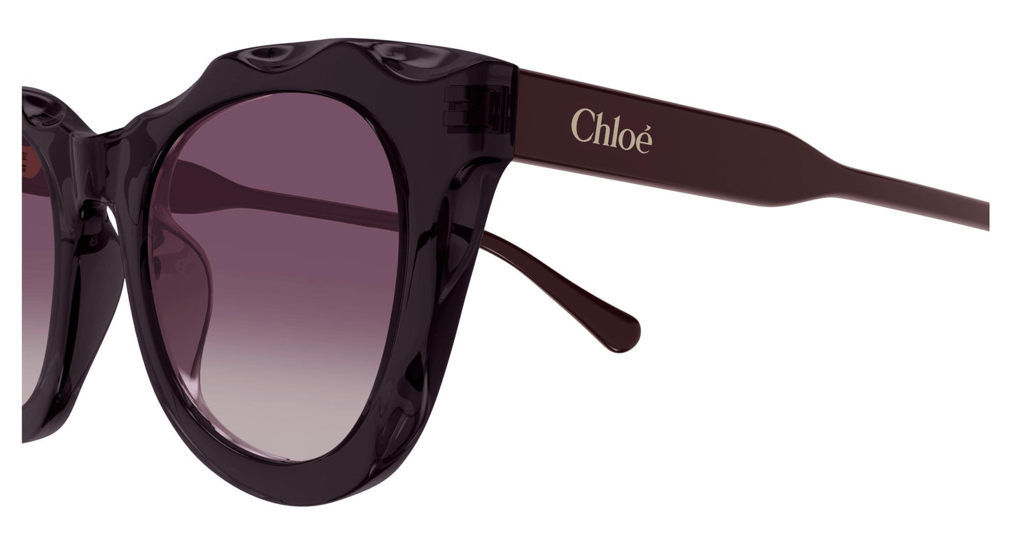 Chloé CH0295S 002 50