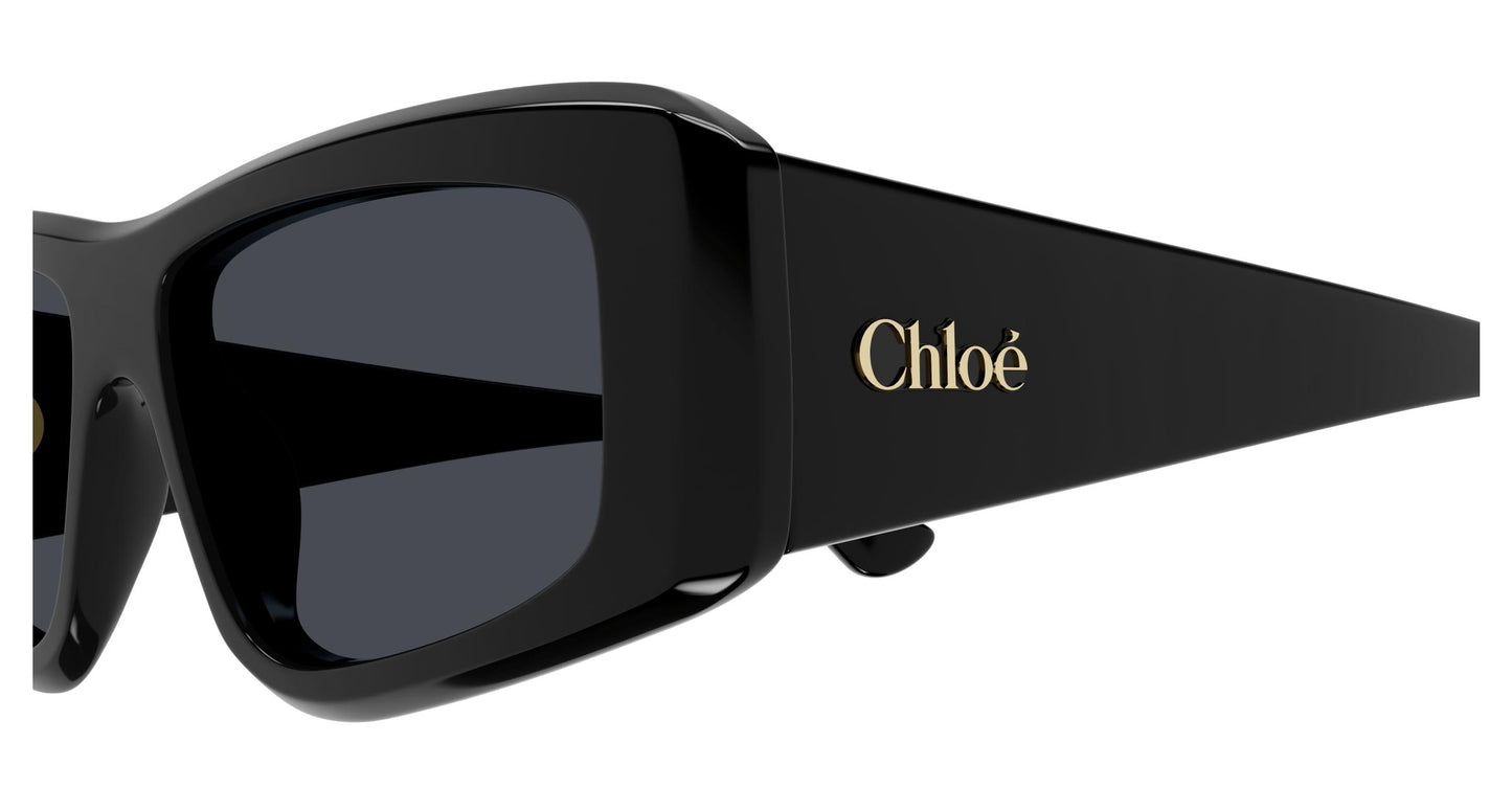 Chloé CH0299S 001 55