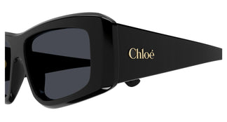 Chloé CH0299S 001 55