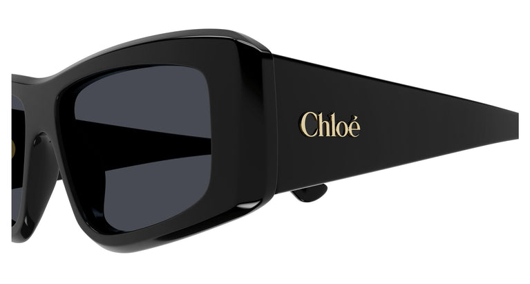 Chloé CH0299S 001 55