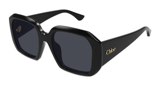 Chloé CH0300S 001 54