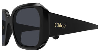Chloé CH0300S 001 54