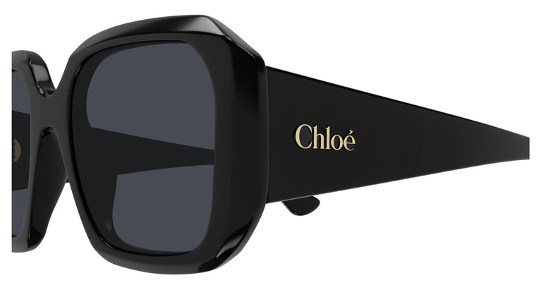 Chloé CH0300S 001 54
