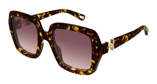 Chloé CH0301S 002 52
