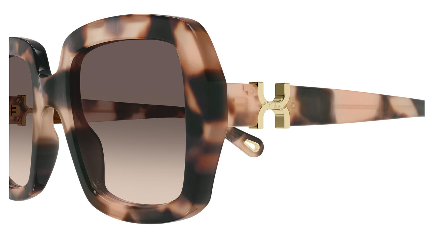 Chloé CH0301S 006 52