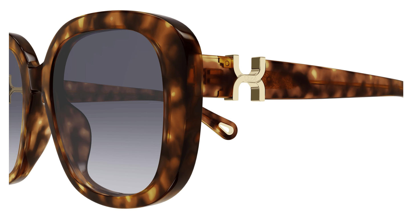 Chloé CH0303SK 002 56